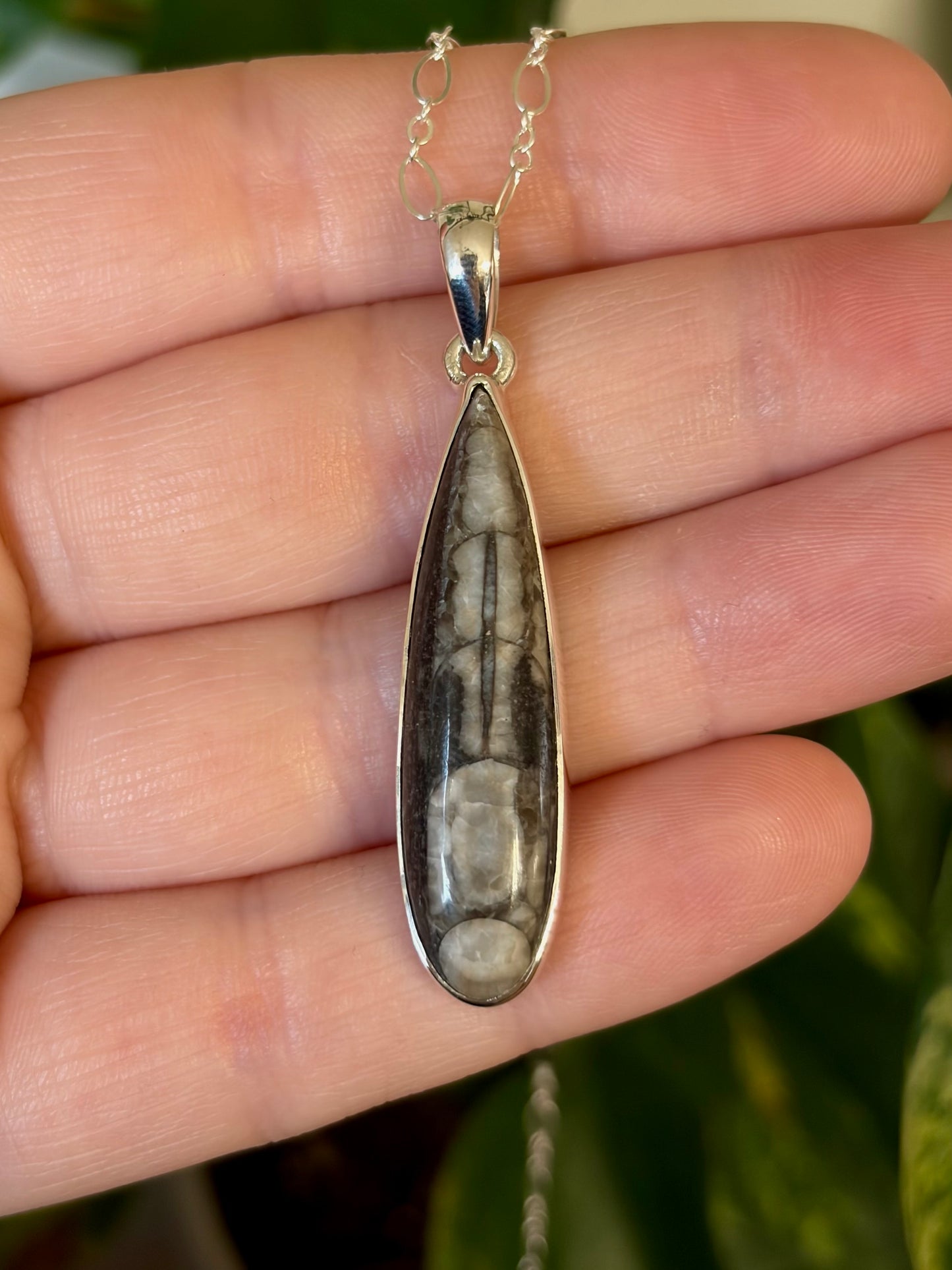 Orthoceras Necklace