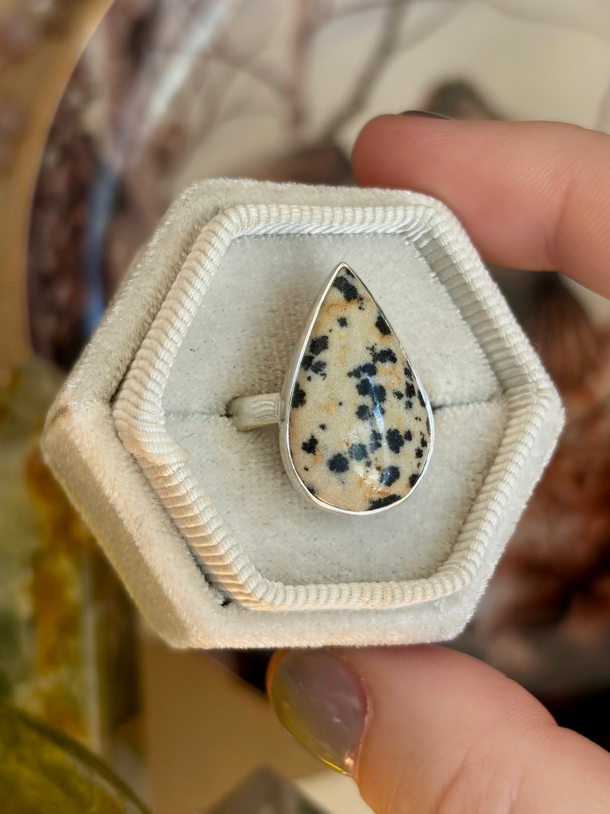 Dalmatian Jasper Ring - Size 8