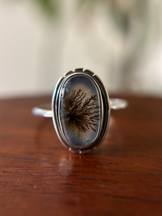 Scenic Agate Ring - Size 6