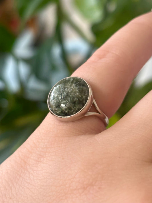 Seraphinite Ring - Size 5