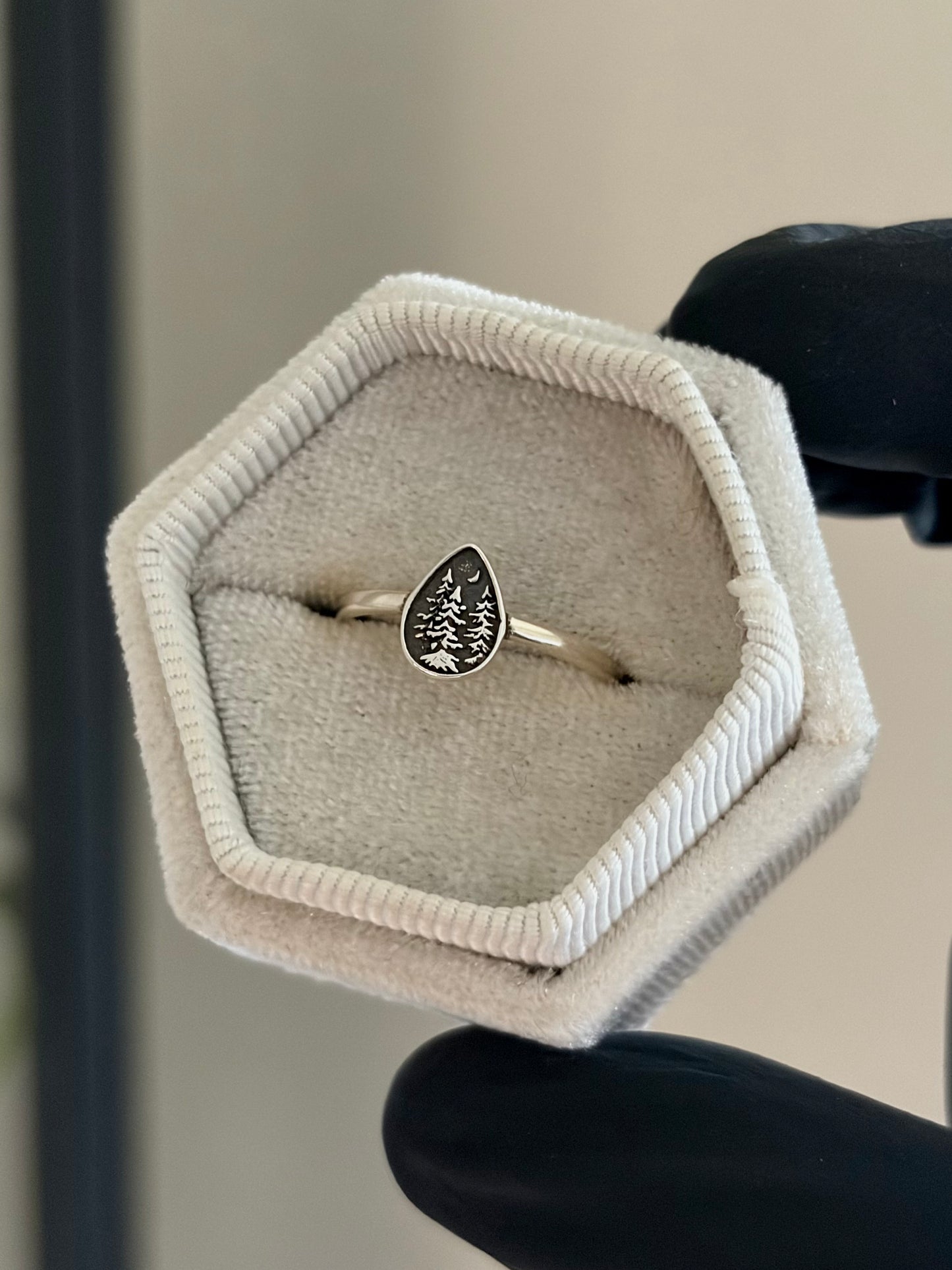 Pine Ring