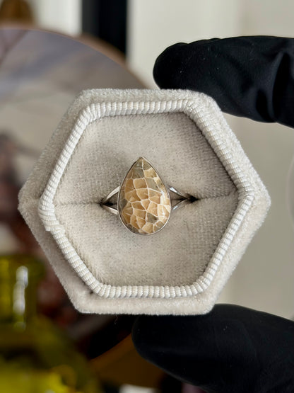 Fossilized Coral Ring - Size 6