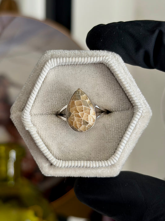 Fossilized Coral Ring - Size 6
