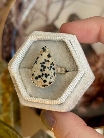Dalmatian Jasper Ring - Size 8