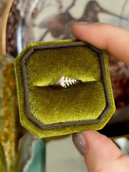 Last Catch Ring