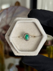 Chrysoprase Ring - Size 7