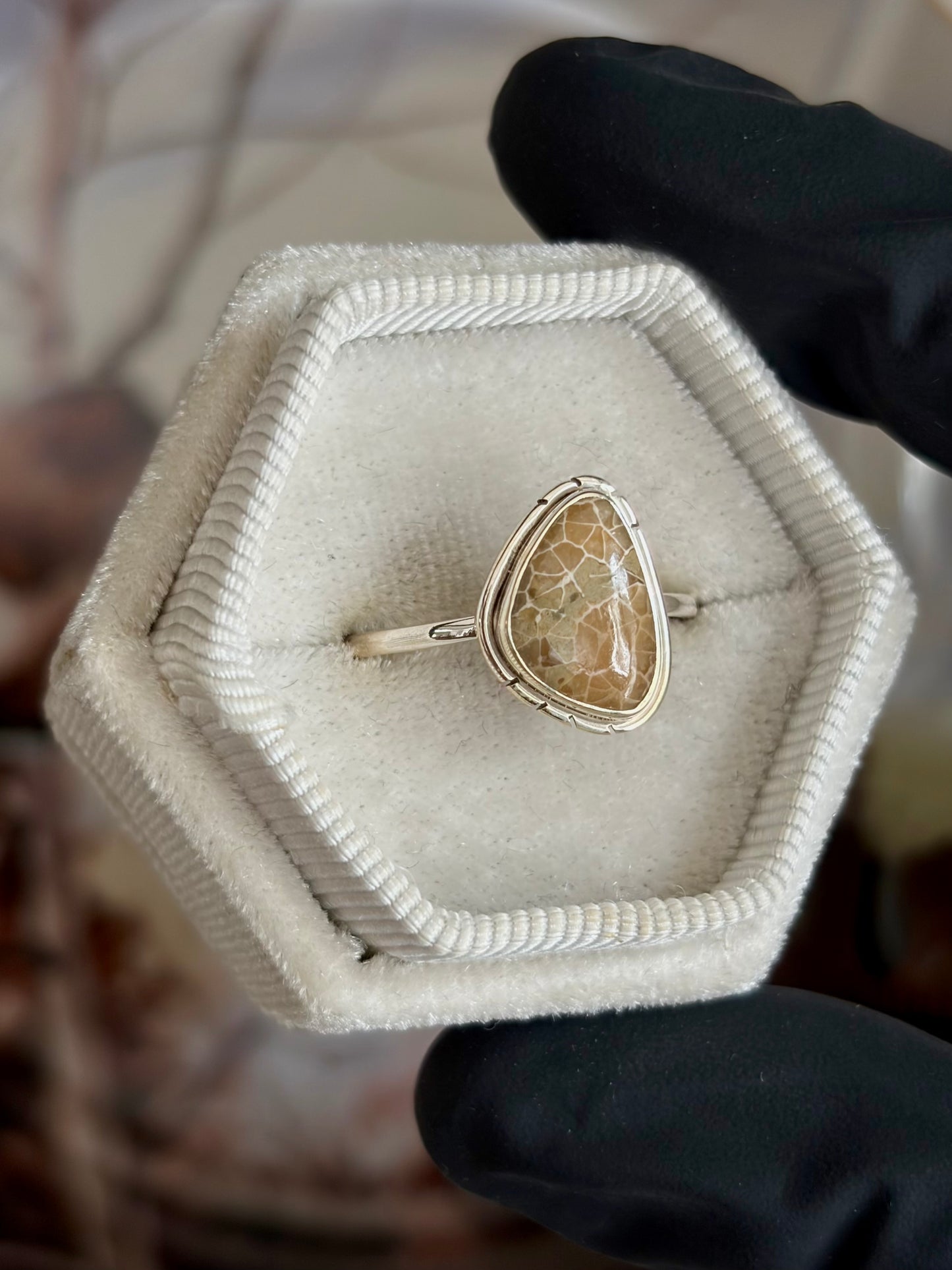 Fossilized Coral Ring - Size 9