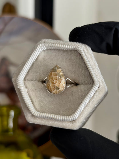 Fossilized Coral Ring - Size 6