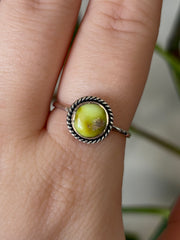 Palomino Turquoise Ring - Size 9