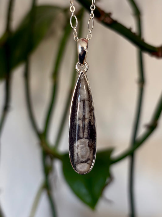 Orthoceras Necklace