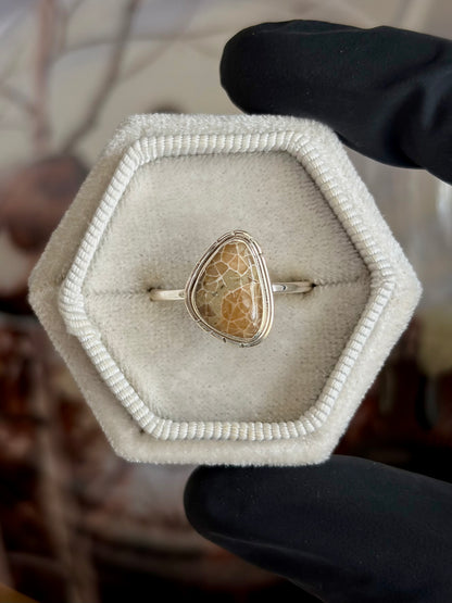 Fossilized Coral Ring - Size 9