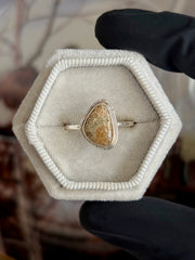 Fossilized Coral Ring - Size 9