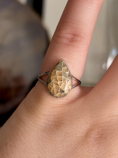 Fossilized Coral Ring - Size 6