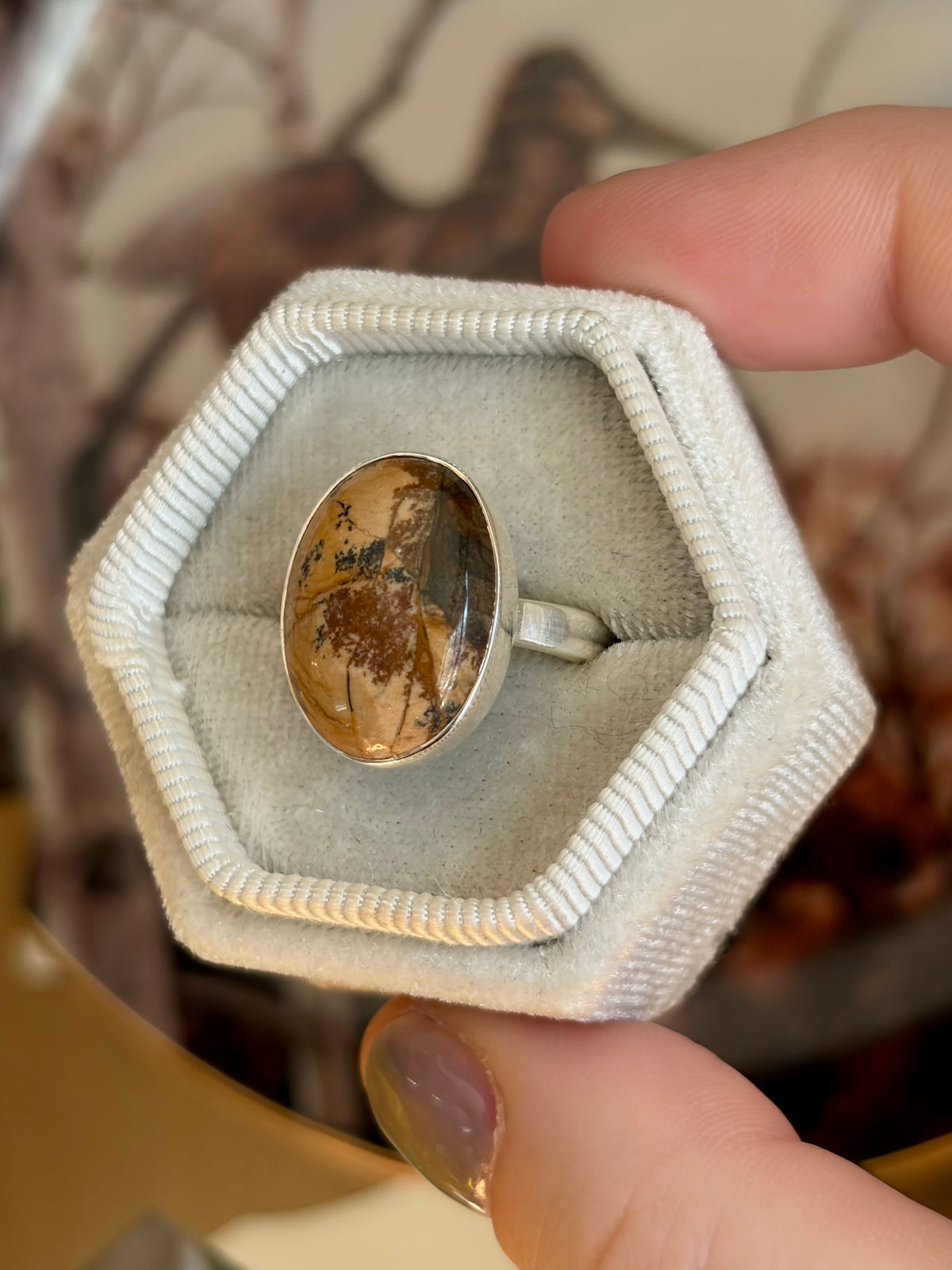 Picture Jasper Ring - Size 8