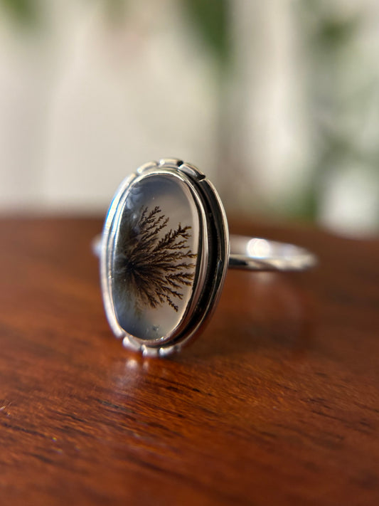 Scenic Agate Ring - Size 6