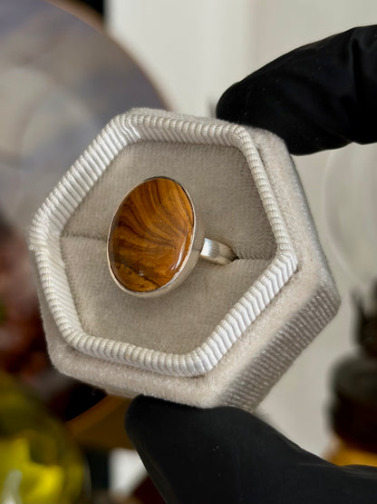 Picture Jasper Ring - Size 7