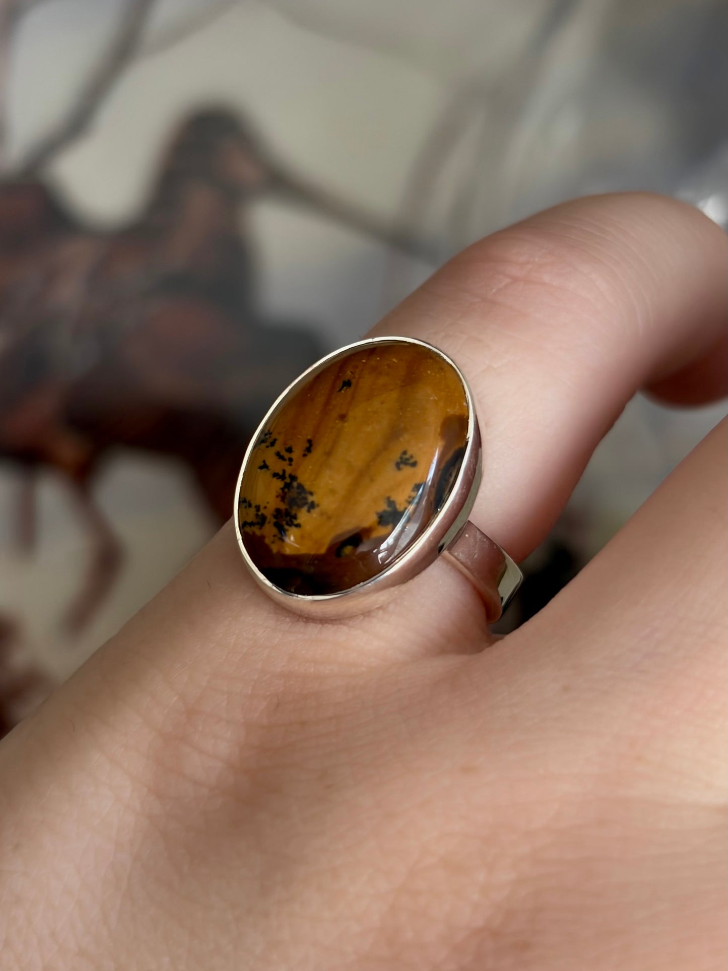 Picture Jasper Ring - Size 6