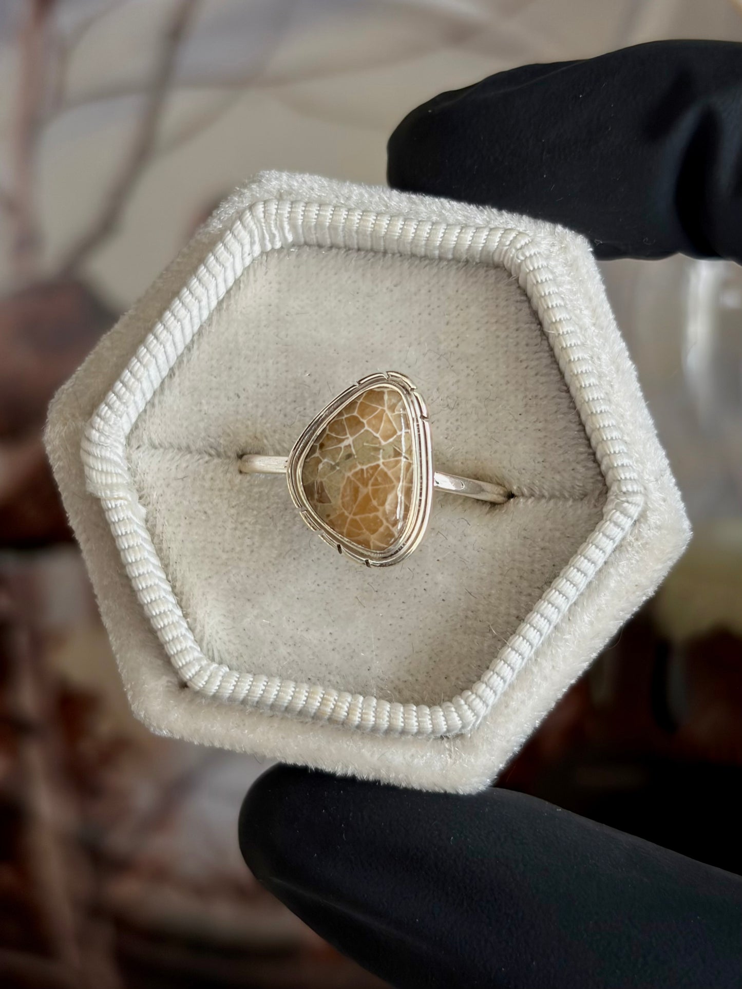 Fossilized Coral Ring - Size 9