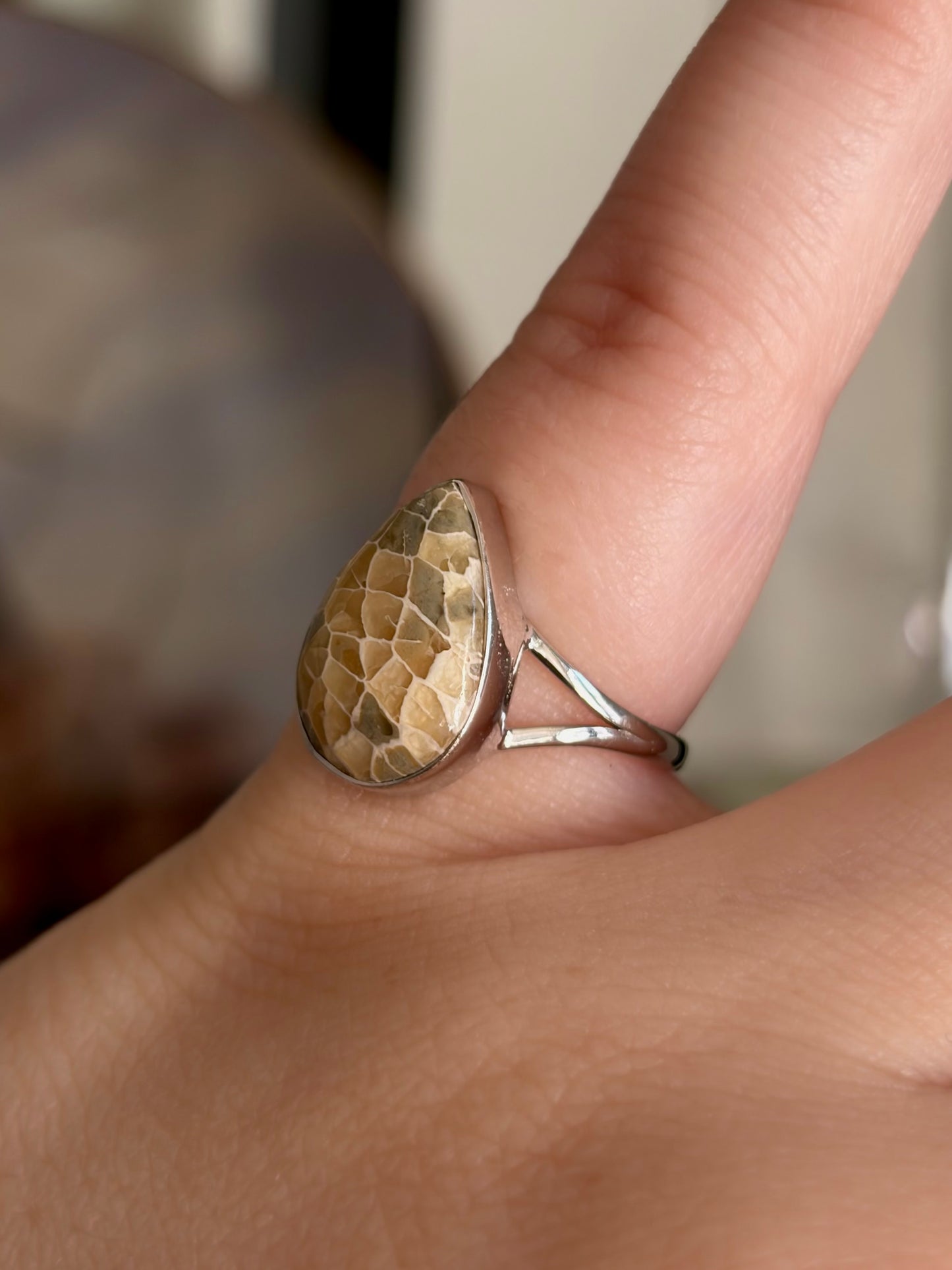 Fossilized Coral Ring - Size 6