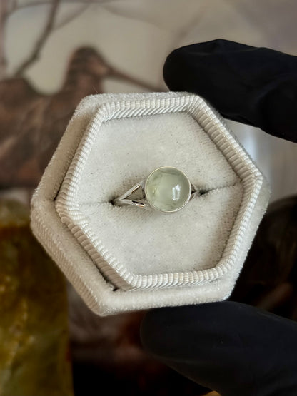 Prehnite Ring - Size 6