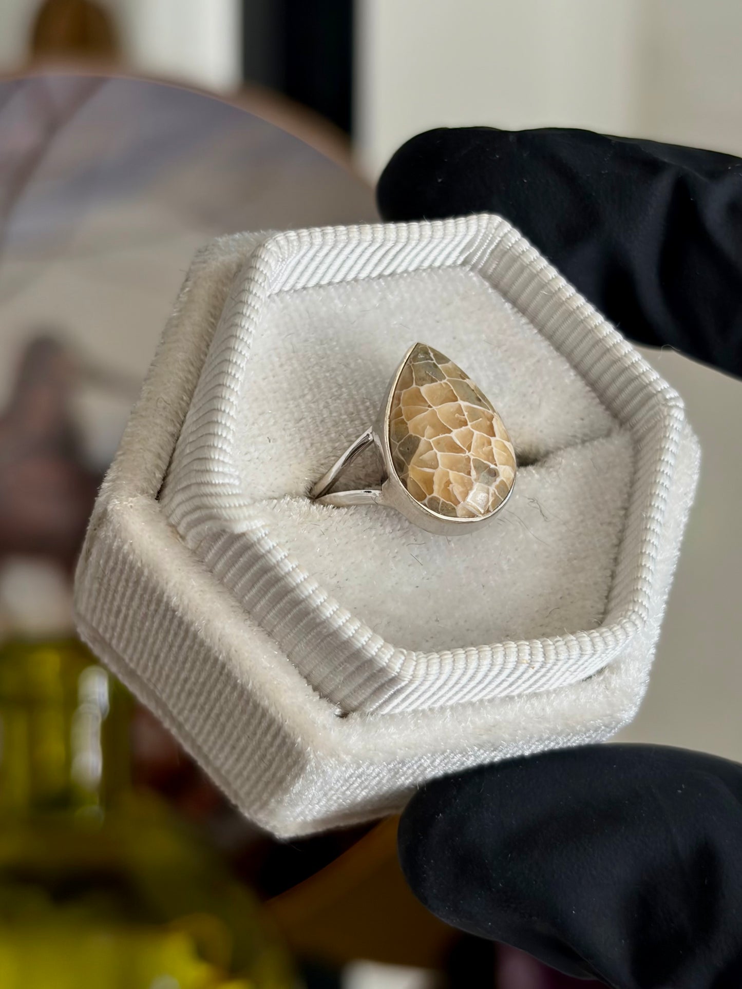 Fossilized Coral Ring - Size 6