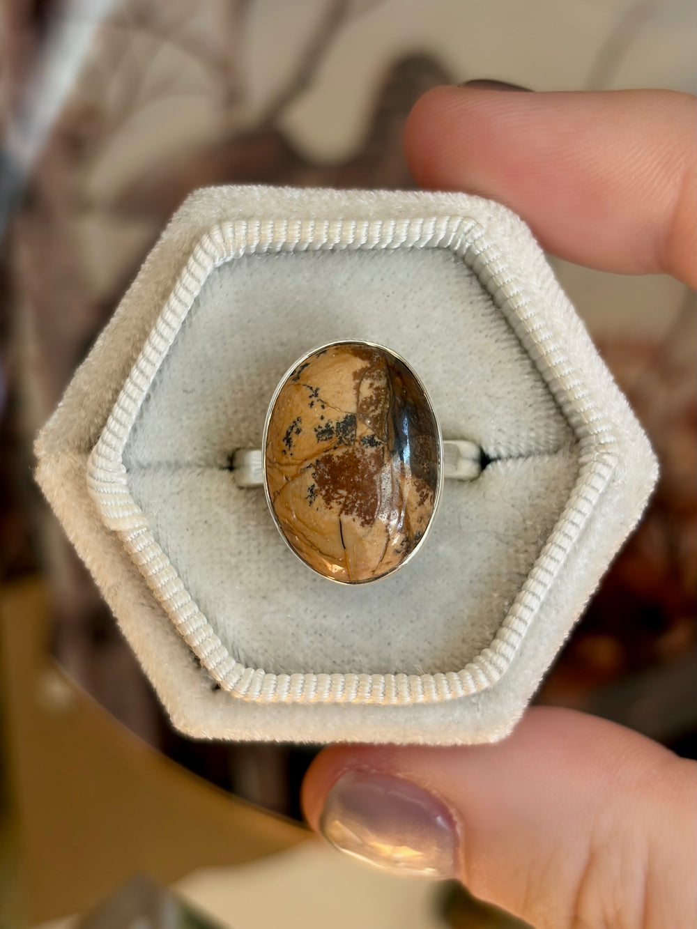 Picture Jasper Ring - Size 8