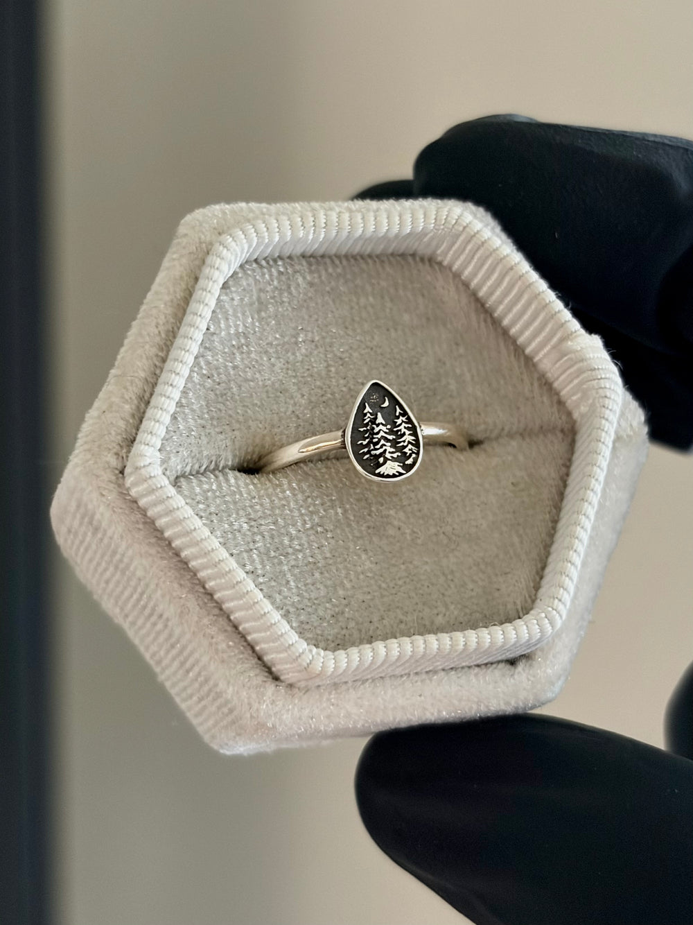 Pine Ring
