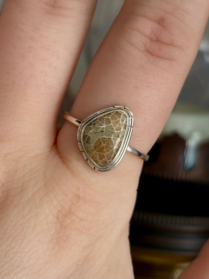 Fossilized Coral Ring - Size 9