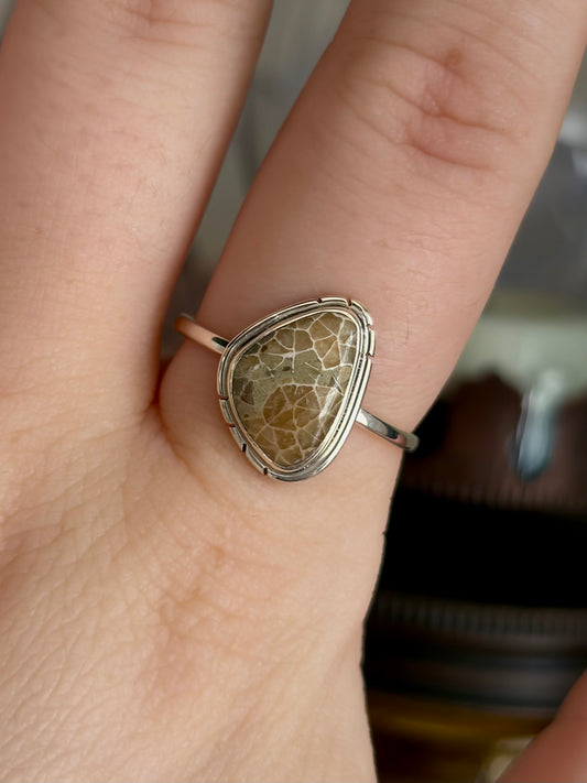 Fossilized Coral Ring - Size 9