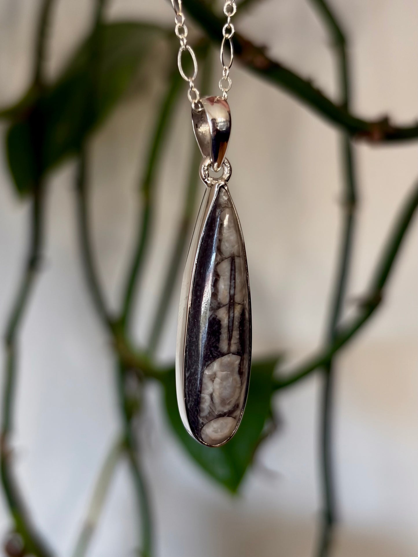 Orthoceras Necklace